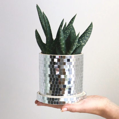 Sparkle Sprout | Lively & Light-Reflecting Disco Planter Pot